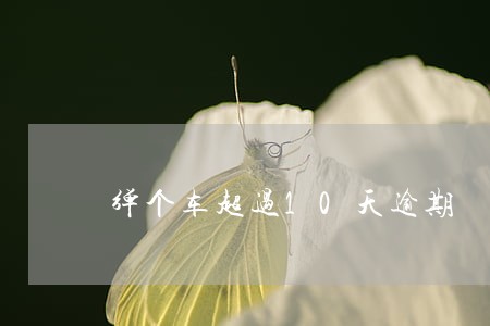 弹个车超过10天逾期 弹个车超过10天逾期