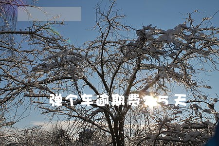 弹个车逾期费25天 弹个车逾期费25天