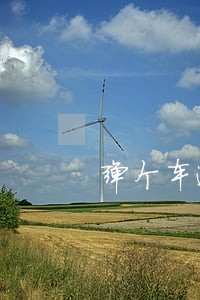 弹个车逾期违约金6 弹个车逾期违约金6