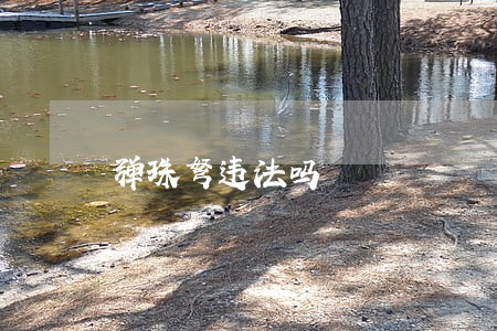 弹珠弩违法吗 弹珠弩违法吗