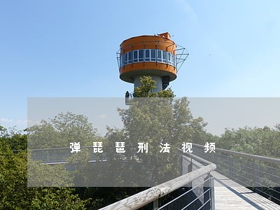 弹琵琶刑法视频 弹琵琶刑法视频