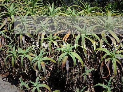 强制上岸十几个网贷逾期黑名单 强制上岸十几个网贷逾期黑名单