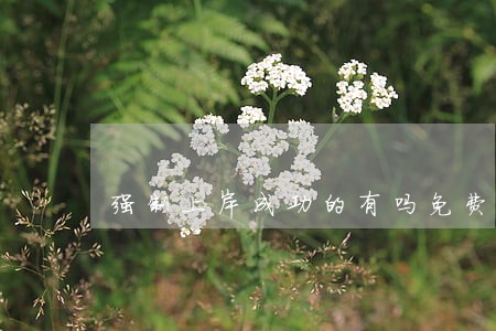 强制上岸成功的有吗免费法律咨询