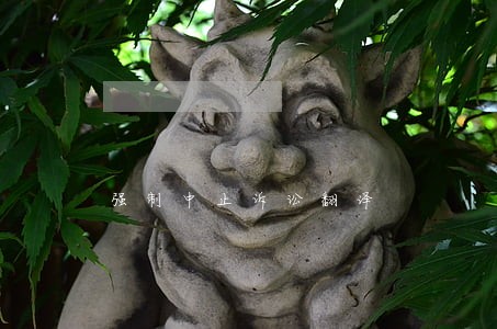 强制中止诉讼翻译 强制中止诉讼翻译