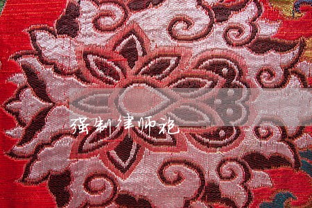 强制律师袍 强制律师袍