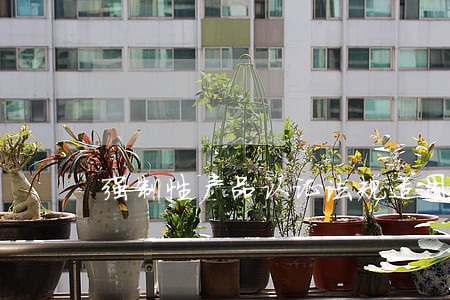 强制性产品认证法规适用手册 强制性产品认证法规适用手册