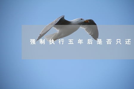 强制执行五年后是否只还本金 强制执行五年后是否只还本金