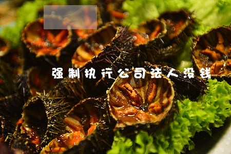 强制执行公司法人没钱 强制执行公司法人没钱
