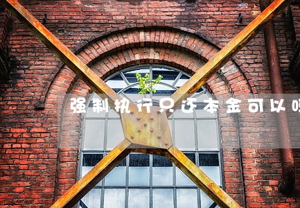 强制执行只还本金可以吗 强制执行只还本金可以吗