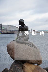 强制执行可以协商只还本金吗 强制执行可以协商只还本金吗