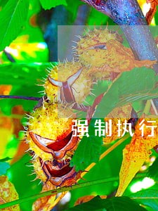 强制执行应对措施法律意见书