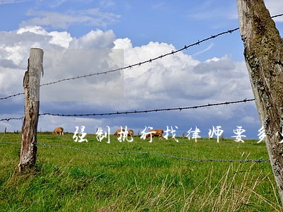 强制执行找律师要多少钱 强制执行找律师要多少钱