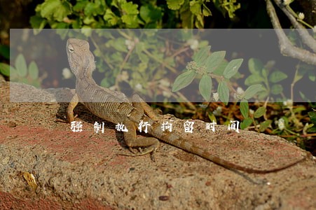 强制执行拘留时间 强制执行拘留时间