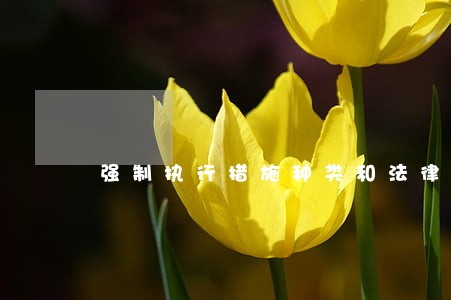 强制执行措施种类和法律依据