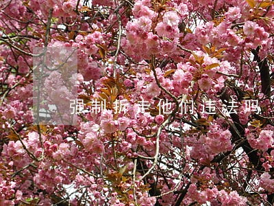 强制拆走他们违法吗 强制拆走他们违法吗