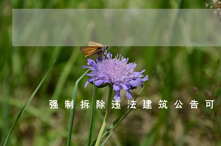 强制拆除违法建筑公告可诉吗 强制拆除违法建筑公告可诉吗