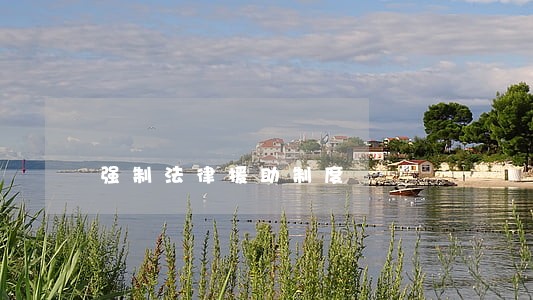 强制法律援助制度 强制法律援助制度