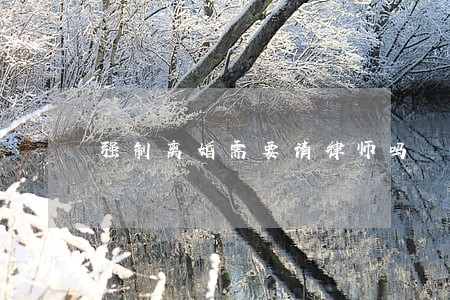 强制离婚需要请律师吗 强制离婚需要请律师吗