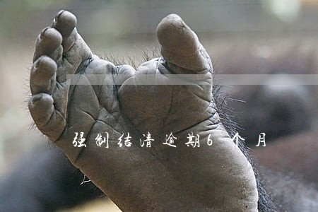 强制结清逾期6个月 强制结清逾期6个月