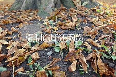 强制逾期还网贷 强制逾期还网贷