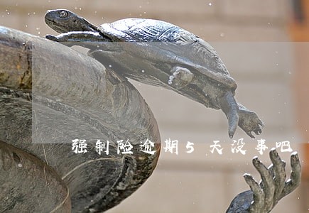 强制险逾期5天没事吧 强制险逾期5天没事吧