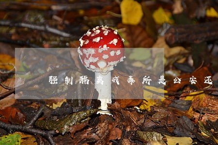 强制隔离戒毒所是公安还是司法 强制隔离戒毒所是公安还是司法