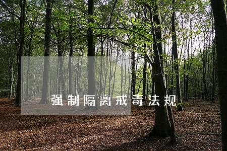 强制隔离戒毒法规 强制隔离戒毒法规