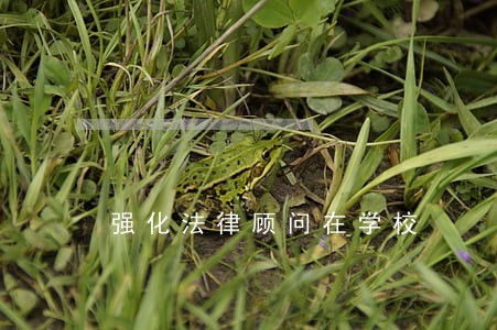 强化法律顾问在学校