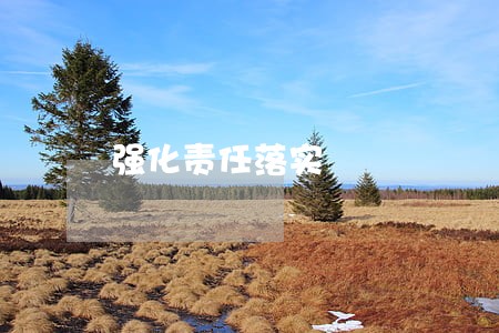 强化责任落实