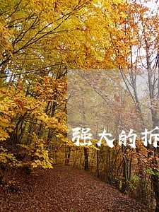 强大的拆迁律师咨询 强大的拆迁律师咨询