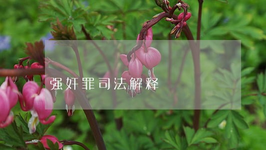 强奸罪司法解释 强奸罪司法解释