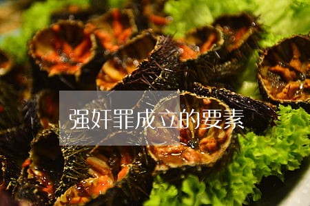 强奸罪成立的要素 强奸罪成立的要素