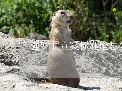 强奸罪立案标准是怎么规定的 强奸罪立案标准是怎么规定的