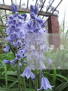 强奸罪需要什么证据可以立案 强奸罪需要什么证据可以立案