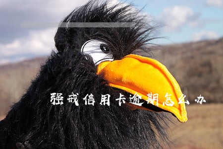 强戒信用卡逾期怎么办 强戒信用卡逾期怎么办