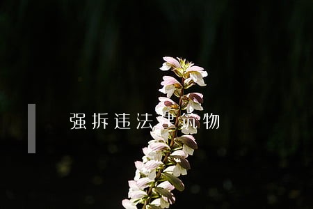 强拆违法建筑物