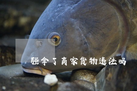 强拿了商家货物违法吗