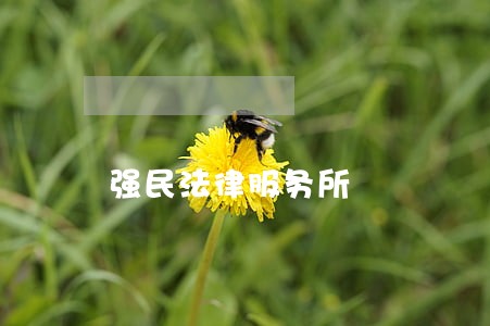 强民法律服务所 强民法律服务所