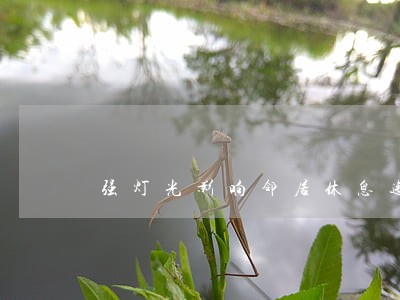 强灯光影响邻居休息违法吗 强灯光影响邻居休息违法吗