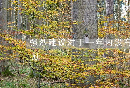强烈建议对于一年内没有违法的司机给予奖励