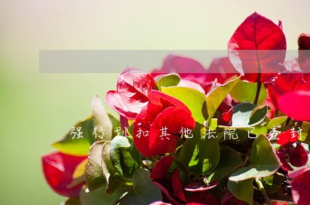 强行划扣其他法院已查封的债权 强行划扣其他法院已查封的债权