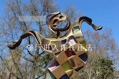 强行进入住在违法 强行进入住在违法