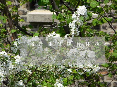 强迁由法院具体执行