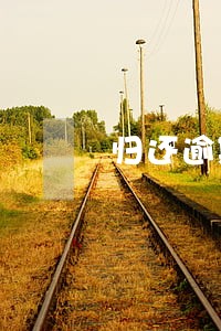 归还逾期贷款信用 归还逾期贷款信用