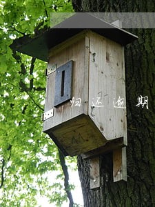 归还逾期贷款先息后本 归还逾期贷款先息后本
