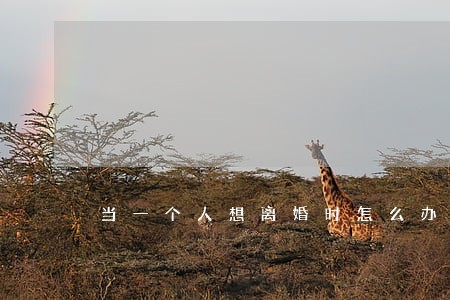 当一个人想离婚时怎么办 当一个人想离婚时怎么办