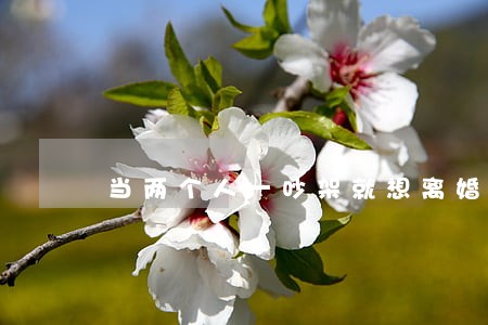 当两个人一吵架就想离婚 当两个人一吵架就想离婚