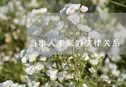 当事人主张的法律关系 当事人主张的法律关系