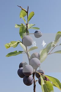 当事人去法院查档案