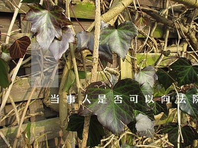 当事人是否可以向法院申请执行 当事人是否可以向法院申请执行